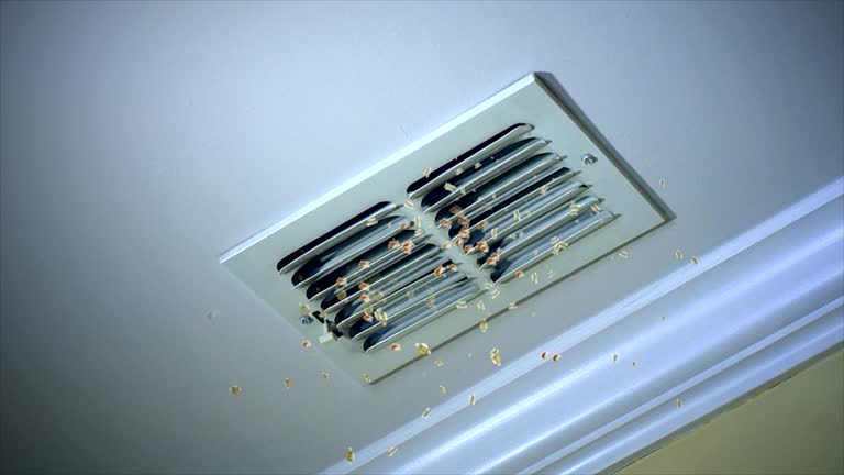 Best Affordable Duct Cleaning Services  in Massapequa, NY